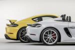 Porsche 718 Cayman GT4 2019 года (WW)